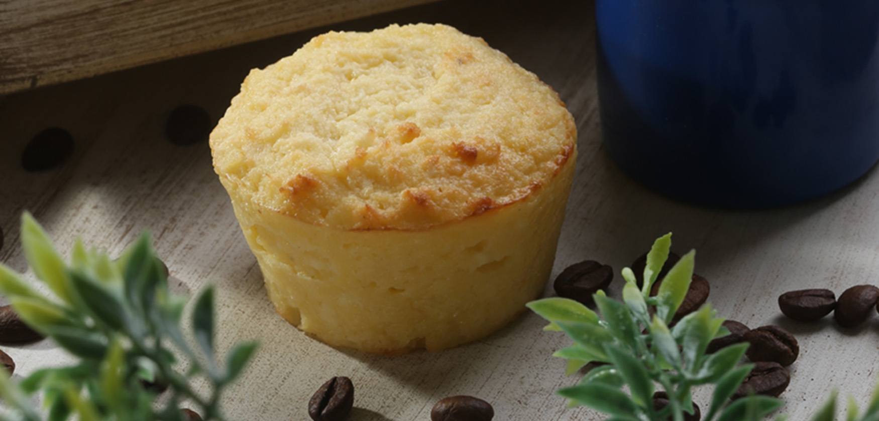 bottombanner-01 bottombanner-01